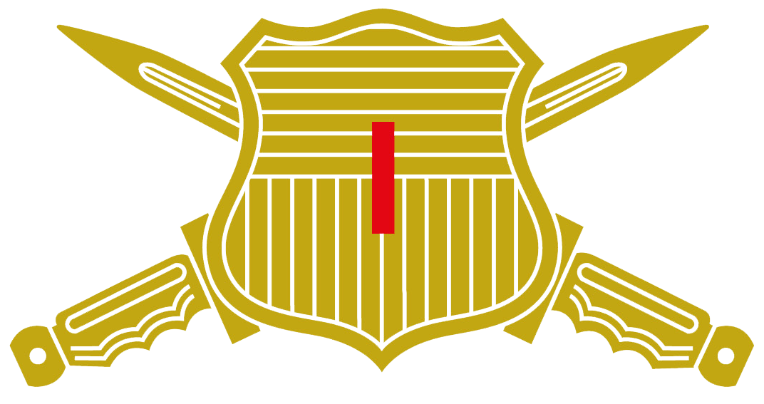 Escudo I División